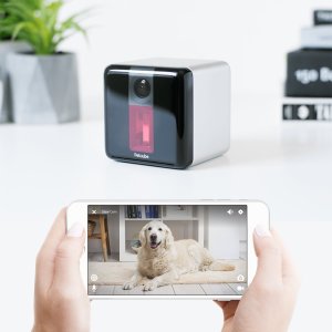 61bidbgragl-_sl1000_